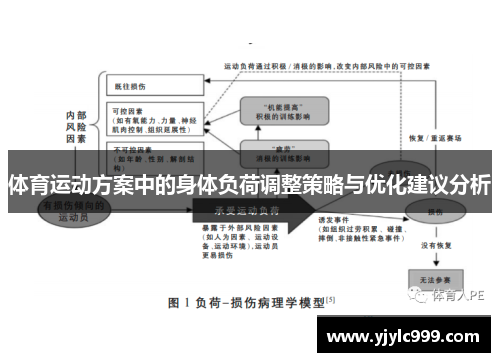 体育运动方案中的身体负荷调整策略与优化建议分析